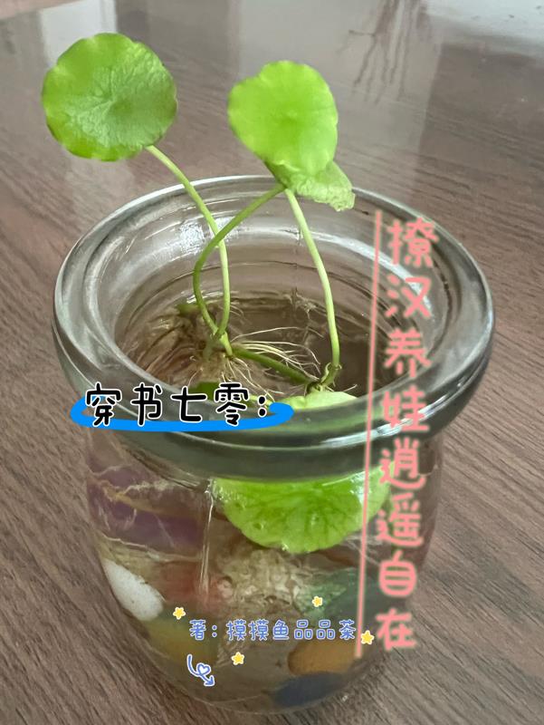 穿书七零养崽日常